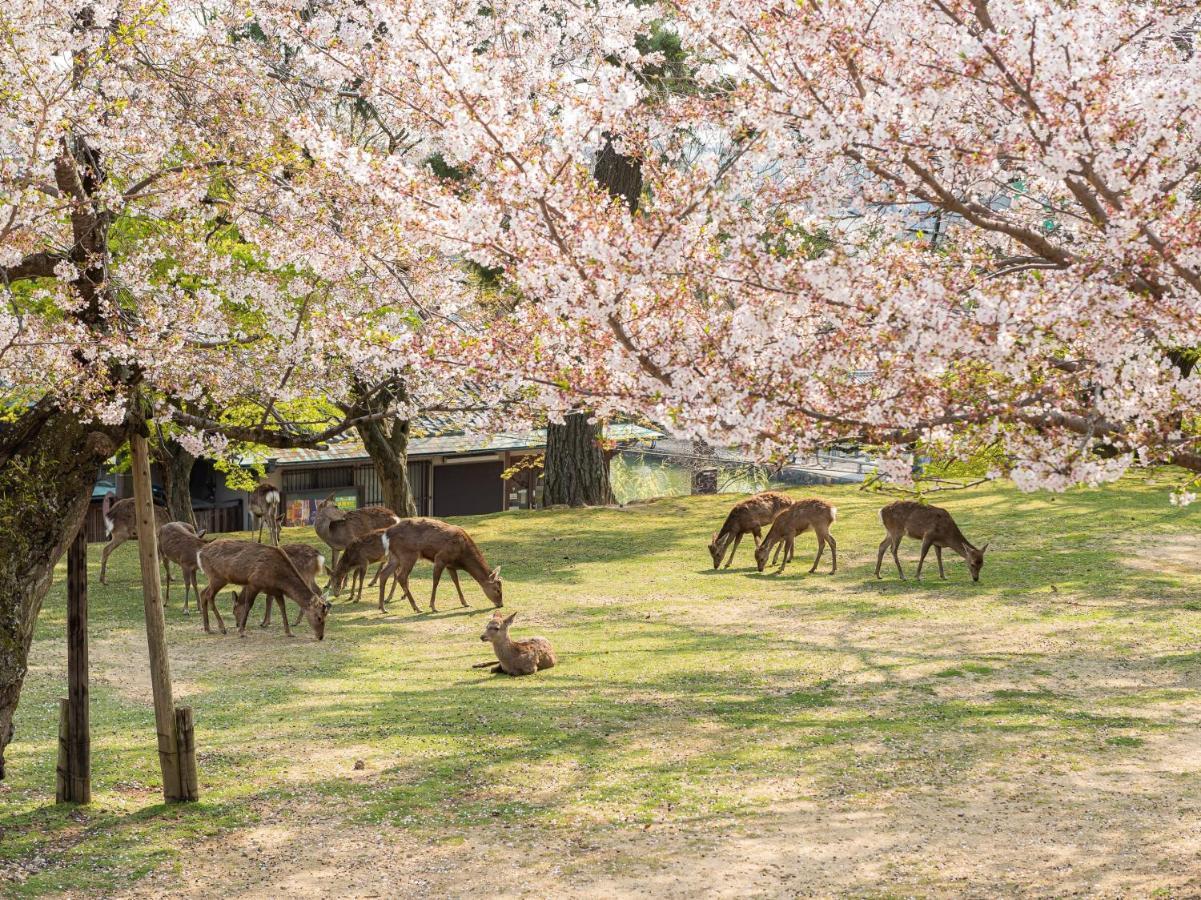 Hotel Neiraku Nara Dış mekan fotoğraf